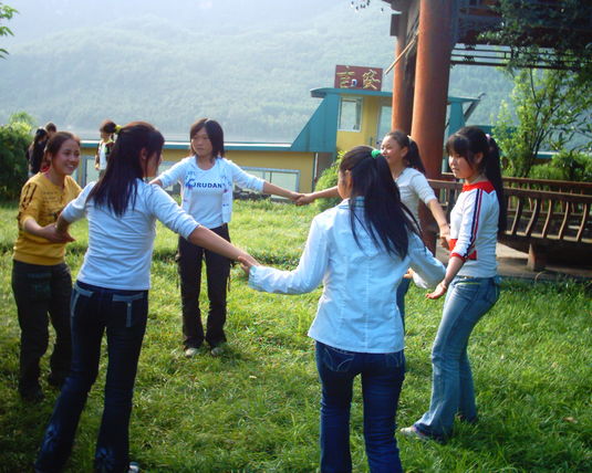 2006  (14)